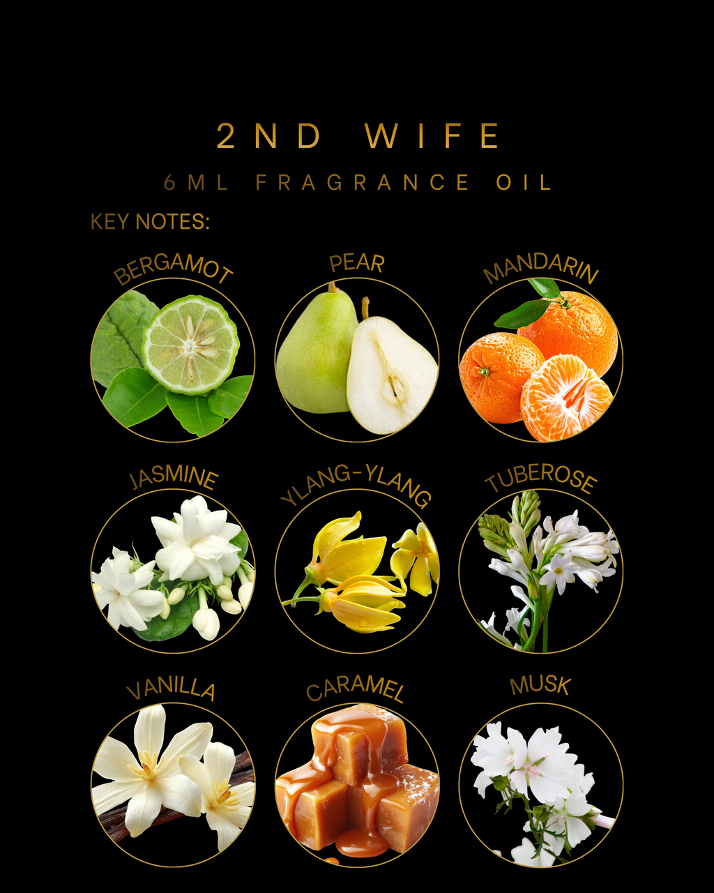 2nd Wife 6ml Fragrance Oil is a warm, sensual amber floral scent with pear, jasmine, vanilla, caramel, and musk. Designer-inspired luxury fragrance oil.