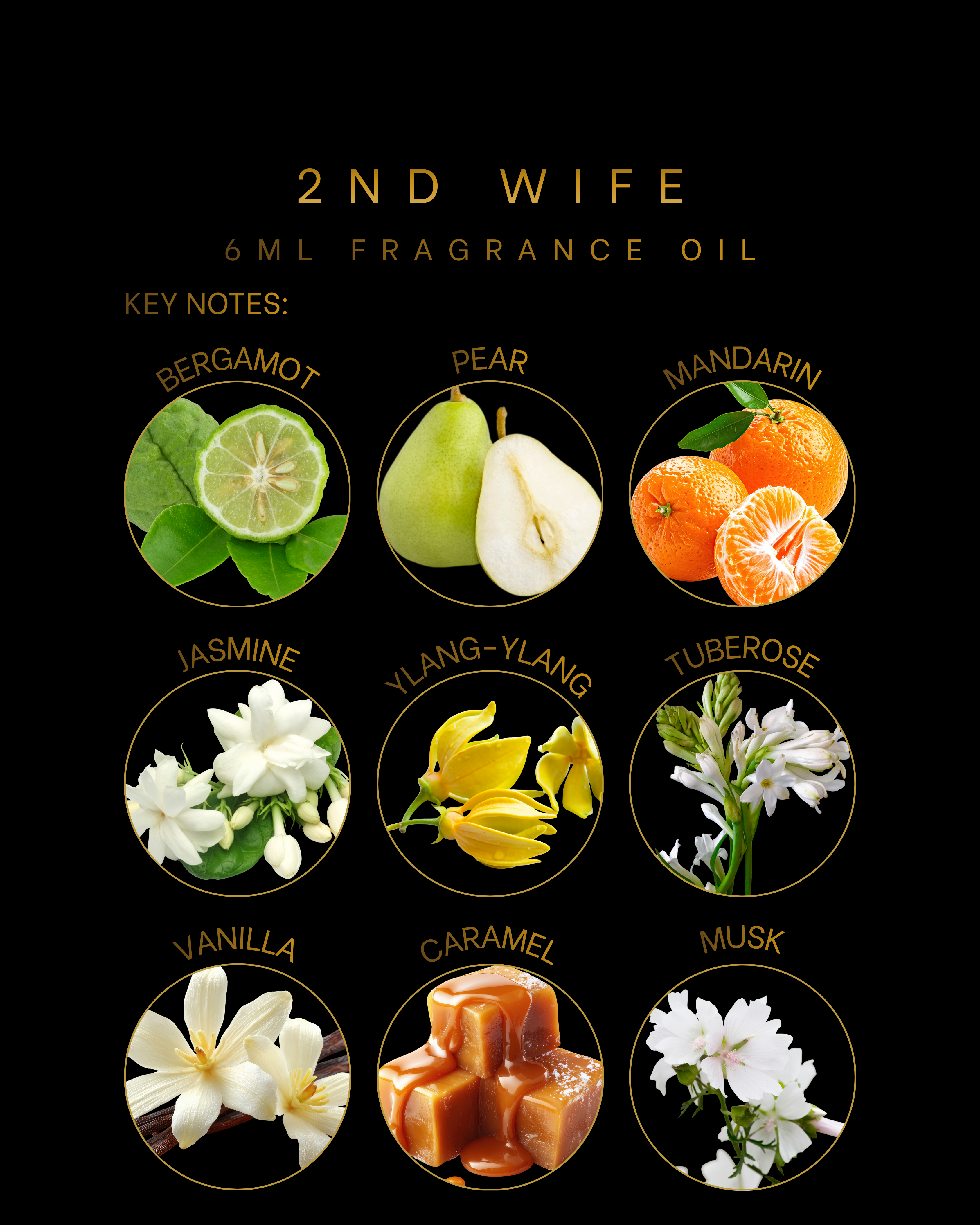 2nd Wife 6ml Fragrance Oil is a warm, sensual amber floral scent with pear, jasmine, vanilla, caramel, and musk. Designer-inspired luxury fragrance oil.
