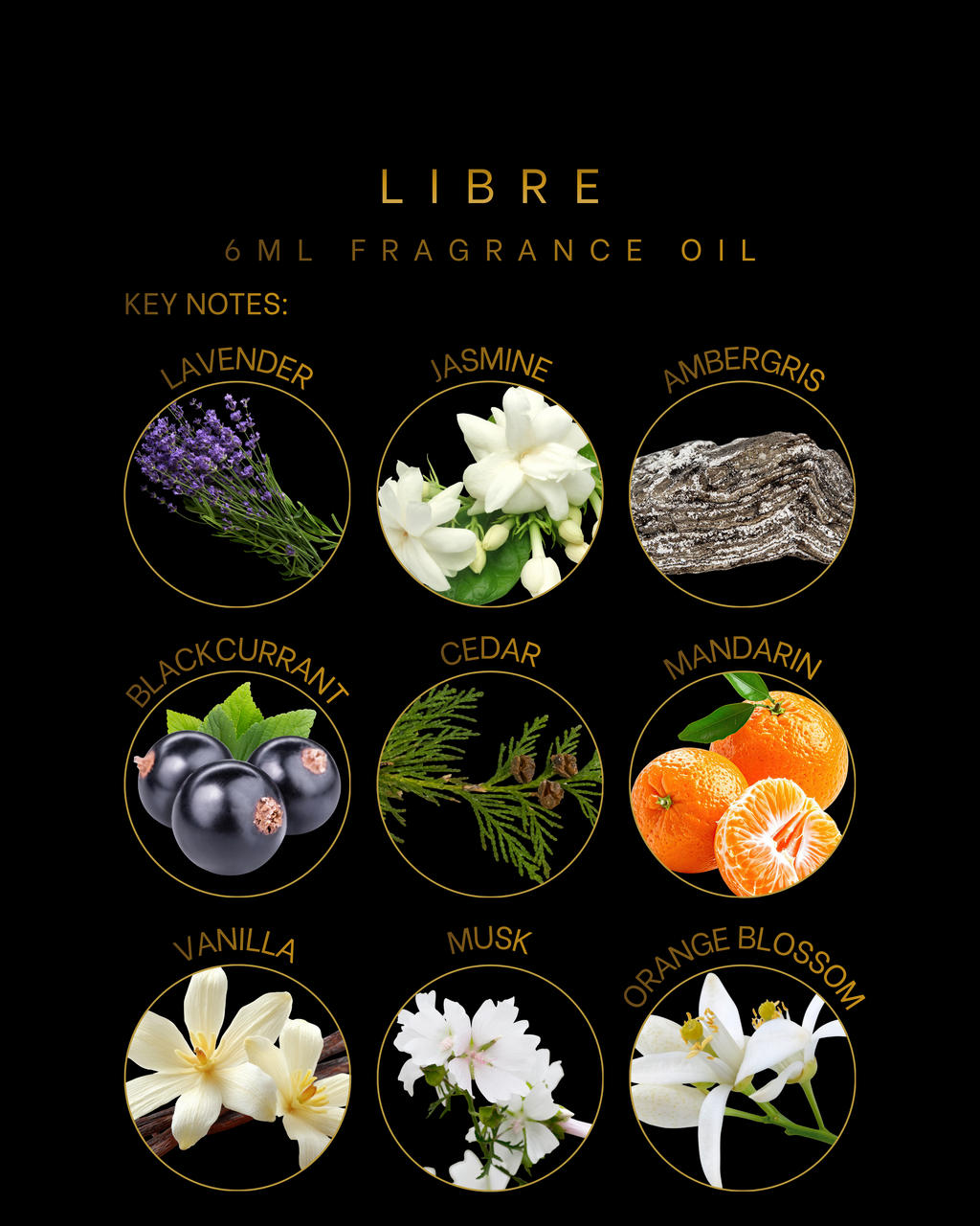 Libre 6ml Fragrance Oil is a fresh citrus floral scent with mandarin, lavender, jasmine, ambergris, vanilla, and musk. Elegant, soft, and captivating fragrance oil.is a fresh citrus floral scent with mandarin, lavender, jasmine, ambergris, vanilla, and musk. Elegant, soft, and captivating fragrance oil.