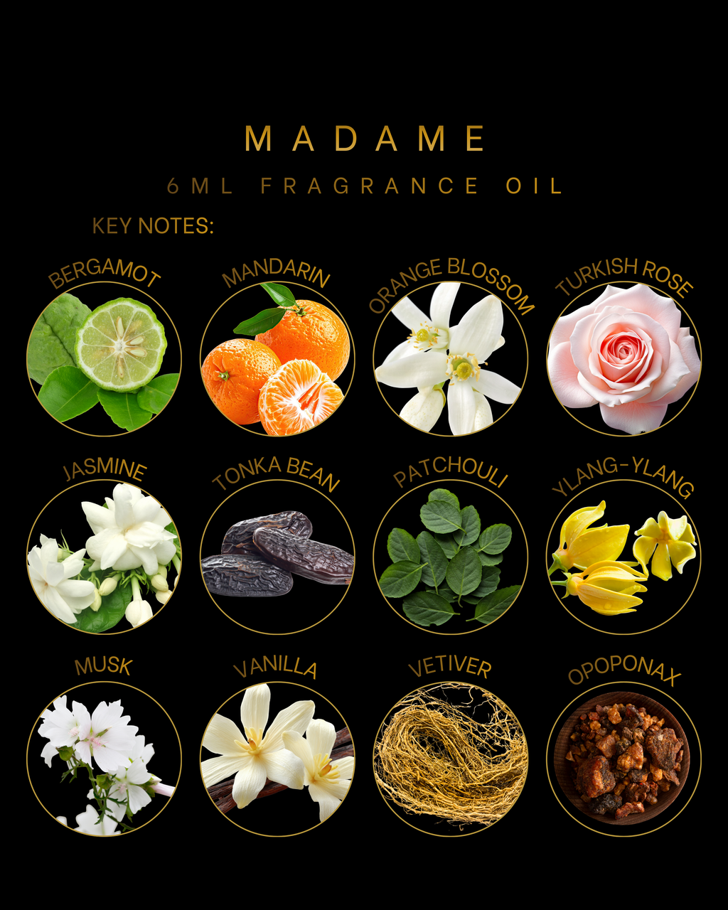 Madame 6ml Fragrance Oil is an elegant citrus floral fragrance with bergamot, mandarin, jasmine, Turkish rose, patchouli, vanilla, and musk. Sophisticated, warm, and captivating scent.